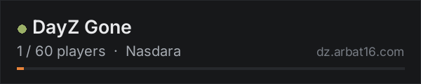DayZ Gone on the AR16 DayZ server list