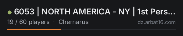 6053 | NORTH AMERICA - NY | 1st Person Only on the AR16 DayZ server list