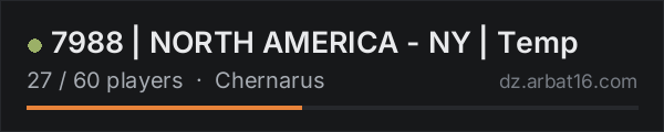 7988 | NORTH AMERICA - NY | Temp on the AR16 DayZ server list