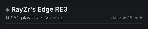 RayZr's Edge RE3 on the AR16 DayZ server list