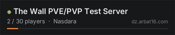 The Wall PVE/PVP Test Server on the AR16 DayZ server list