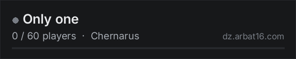 Only one on the AR16 DayZ server list