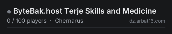 ByteBak.host Terje Skills and Medicine on the AR16 DayZ server list
