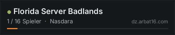 Florida Server Badlands in der DayZ-Serverliste von AR16