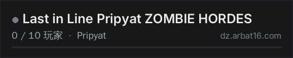 AR16 DayZ 服务器列表中的 Last in Line Pripyat ZOMBIE HORDES