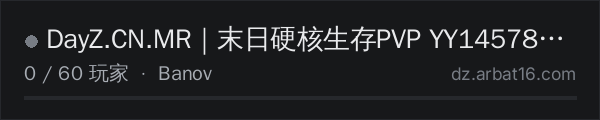 AR16 DayZ 服务器列表中的 DayZ.CN.MR｜末日硬核生存PVP YY1457825691Q:825606616