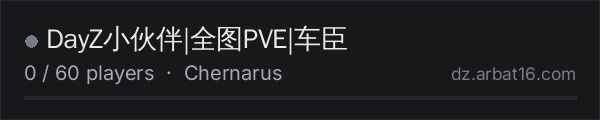 DayZ小伙伴|全图PVE|车臣 on the AR16 DayZ server list