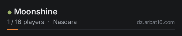 Moonshine on the AR16 DayZ server list