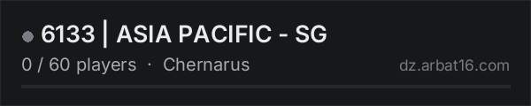 6133 | ASIA PACIFIC - SG on the AR16 DayZ server list