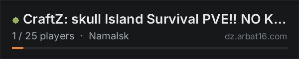 EXAMPLE NAME on the AR16 DayZ server list
