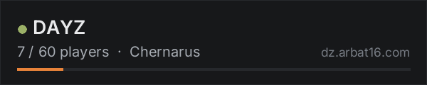 DAYZ on the AR16 DayZ server list