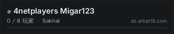 AR16 DayZ 服务器列表中的 4netplayers Migar123
