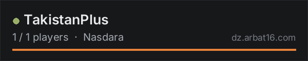TakistanPlus on the AR16 DayZ server list