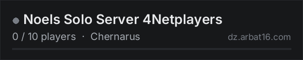 Noels Solo Server 4Netplayers on the AR16 DayZ server list