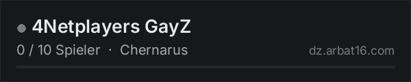 4Netplayers GayZ in der DayZ-Serverliste von AR16