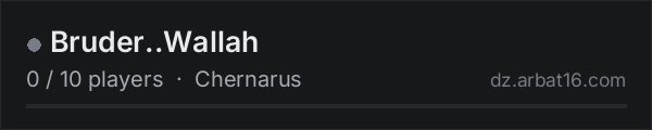 Bruder..Wallah on the AR16 DayZ server list