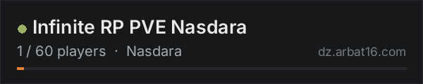 Infinite RP PVE Nasdara on the AR16 DayZ server list