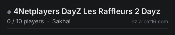 4Netplayers DayZ Les Raffleurs 2 Dayz on the AR16 DayZ server list