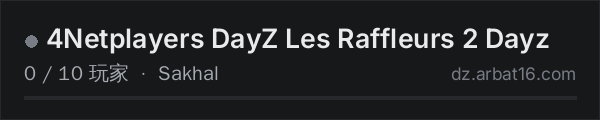 AR16 DayZ 服务器列表中的 4Netplayers DayZ Les Raffleurs 2 Dayz