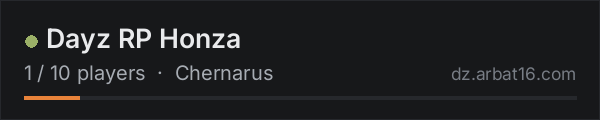Dayz RP Honza on the AR16 DayZ server list