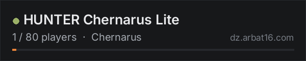 HUNTER Chernarus Lite on the AR16 DayZ server list