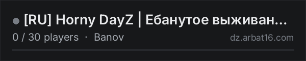 [RU] Horny DayZ | Ебанутое выживание 18+ on the AR16 DayZ server list