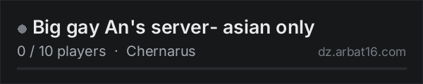 Big gay An's server- asian only on the AR16 DayZ server list