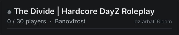 The Divide | Hardcore DayZ Roleplay on the AR16 DayZ server list