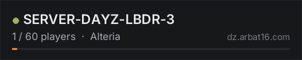 SERVER-DAYZ-LBDR-3 on the AR16 DayZ server list