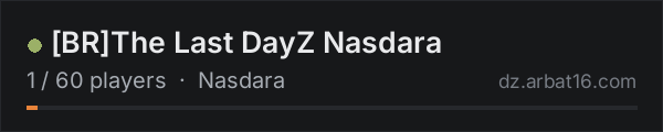 BRThe Last DayZ Nasdara on the AR16 DayZ server list