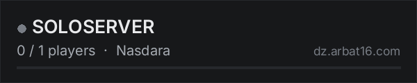 SOLOSERVER on the AR16 DayZ server list