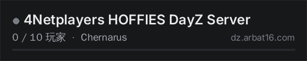 AR16 DayZ 服务器列表中的 4Netplayers HOFFIES DayZ Server