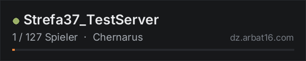 Strefa37_TestServer in der DayZ-Serverliste von AR16
