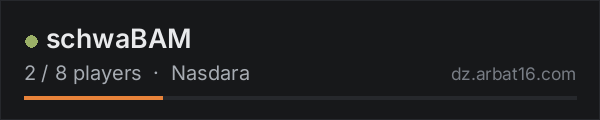 schwaBAM on the AR16 DayZ server list