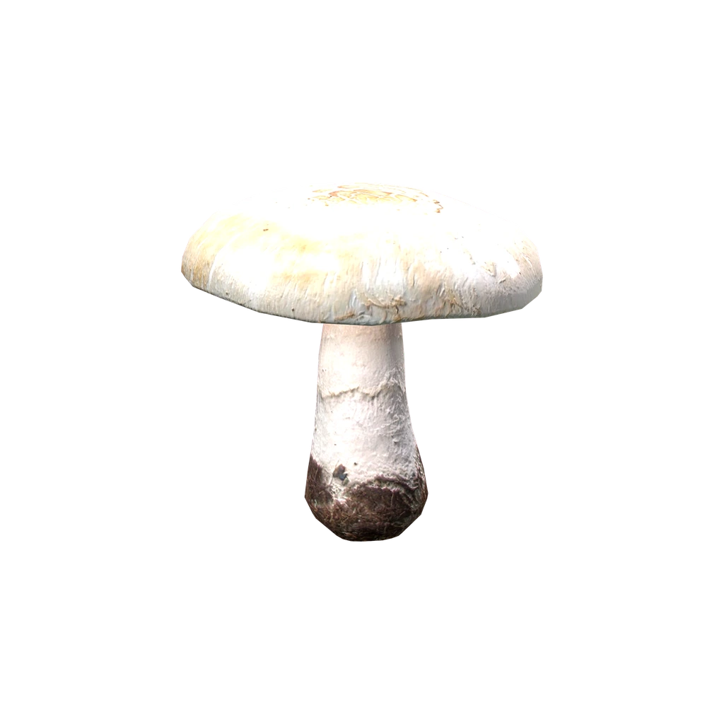 Шампиньон (AgaricusMushroom), DayZ