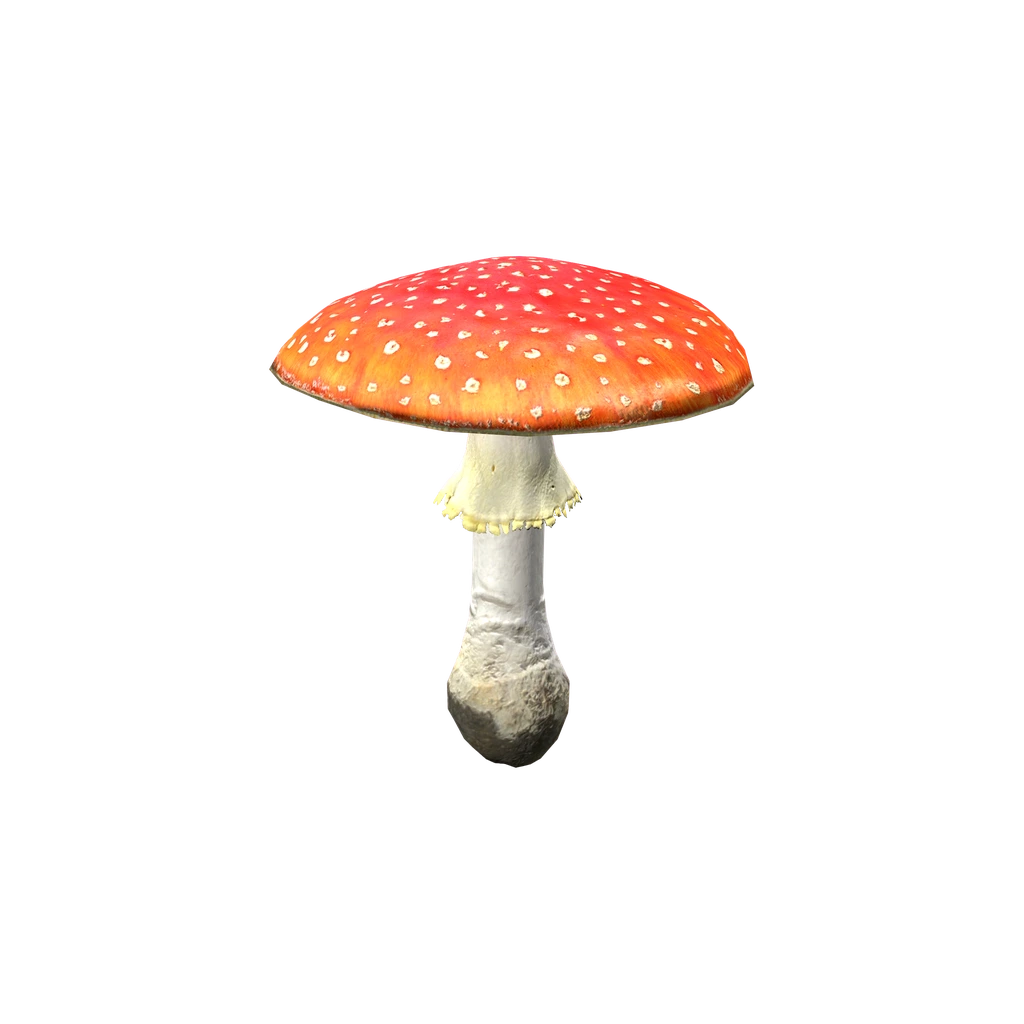 Мухомор (AmanitaMushroom), DayZ