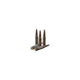 .308 WIN-Munition