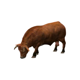 Бык