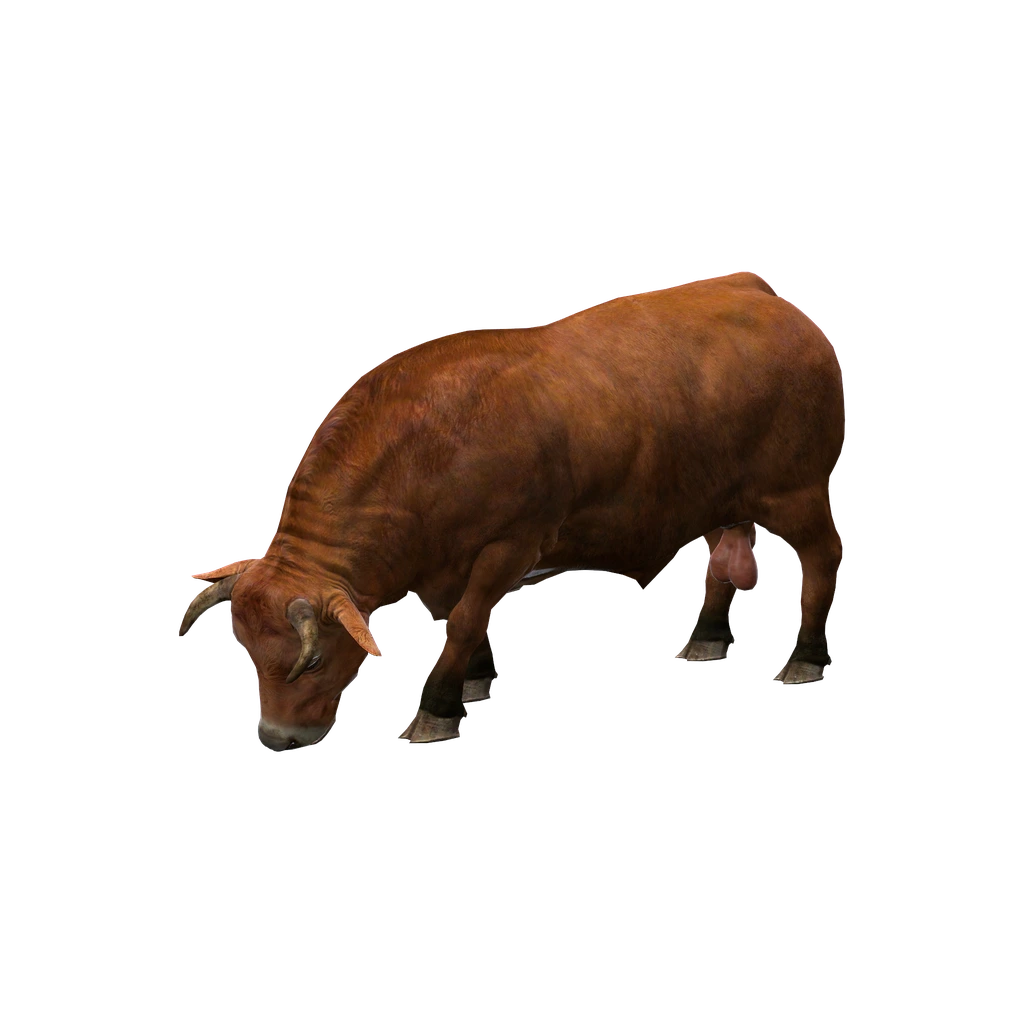 Бык (Animal_BosTaurus_Brown), DayZ