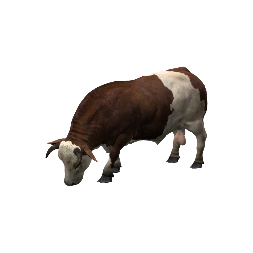 Бык (Animal_BosTaurus_Spotted), DayZ