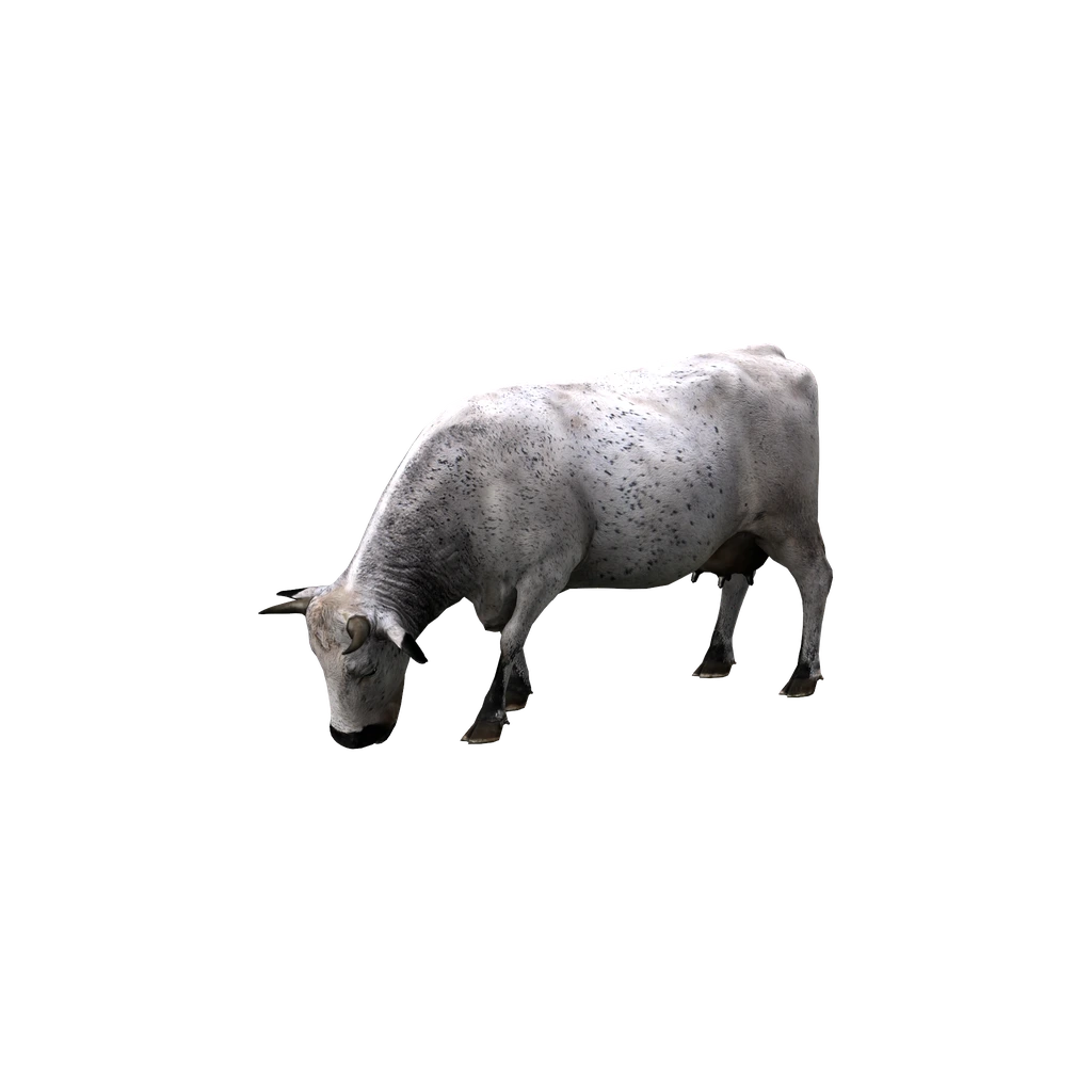 Корова (Animal_BosTaurusF_White), DayZ