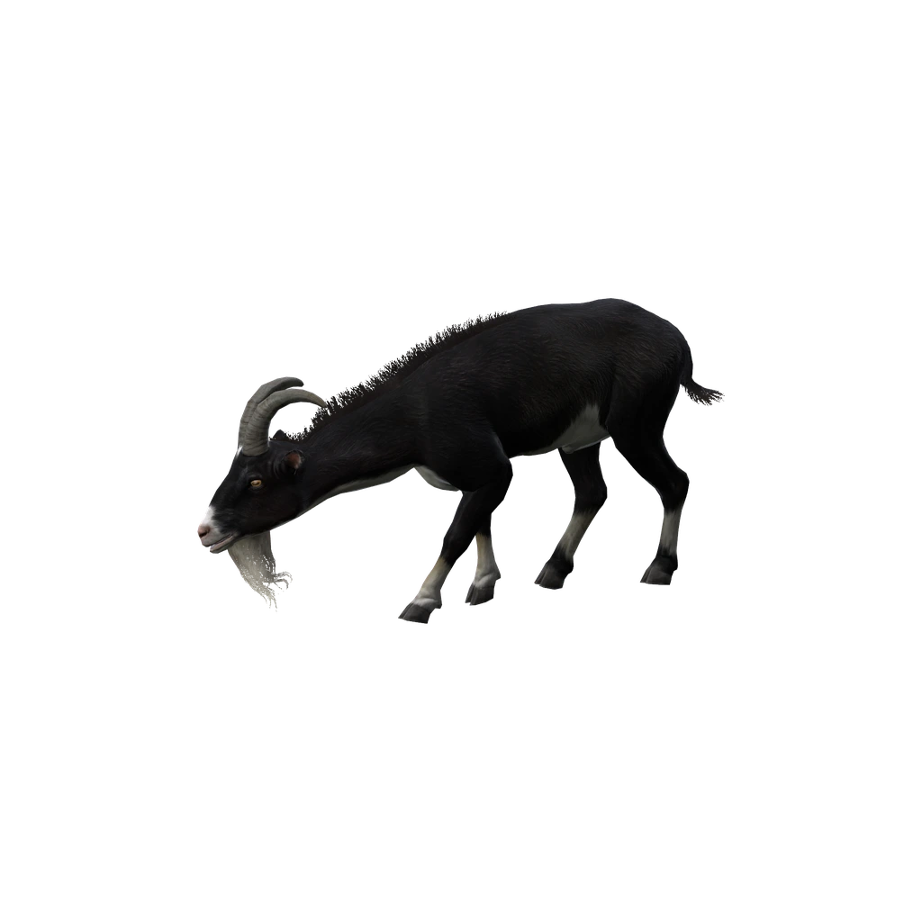 Козел (Animal_CapraHircus_Black), DayZ