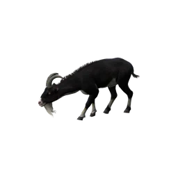 Козел