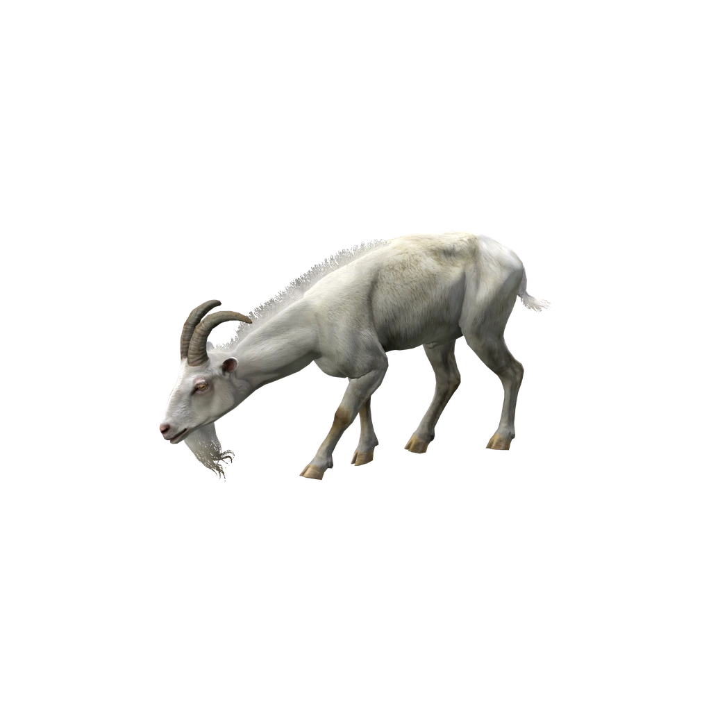 Козел (Animal_CapraHircus_White), DayZ