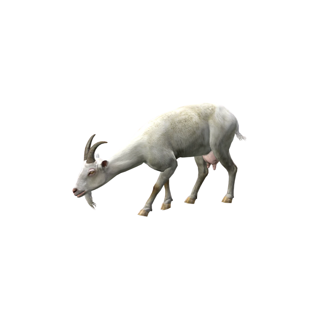 Коза (Animal_CapraHircusF), DayZ