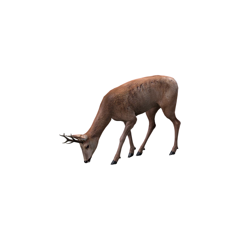 Самец косули (Animal_CapreolusCapreolus), DayZ