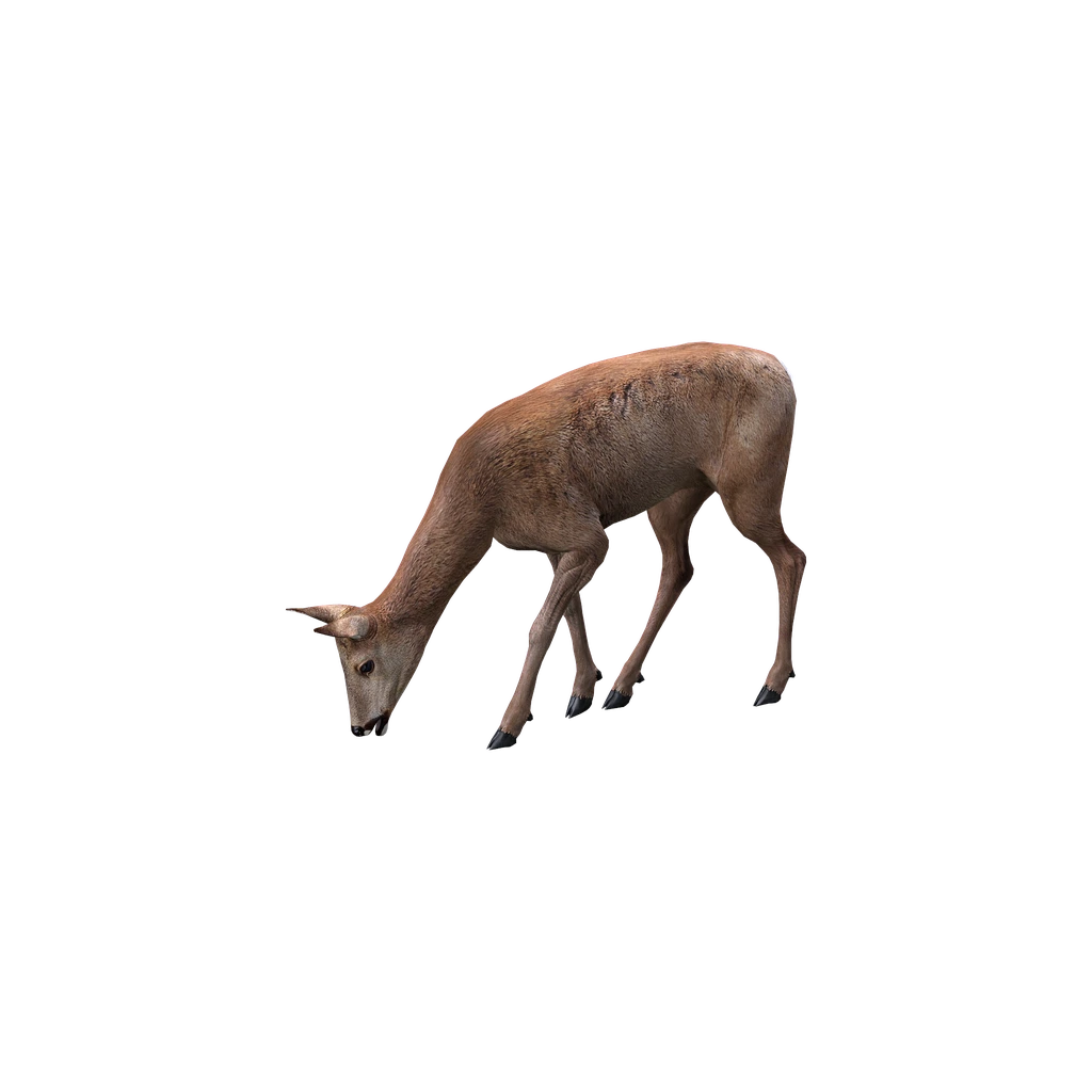 Косуля (Animal_CapreolusCapreolusF), DayZ