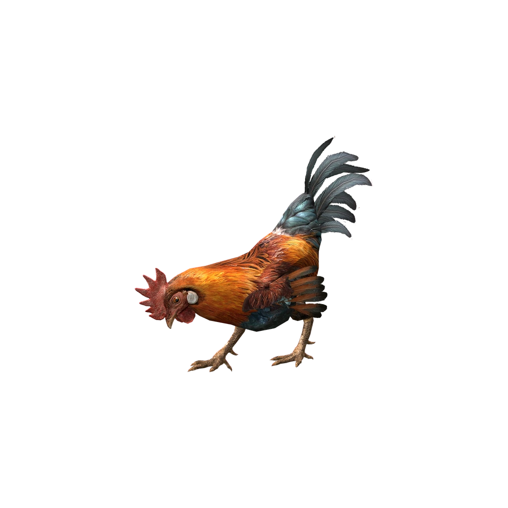 Петух (Animal_GallusGallusDomesticus), DayZ