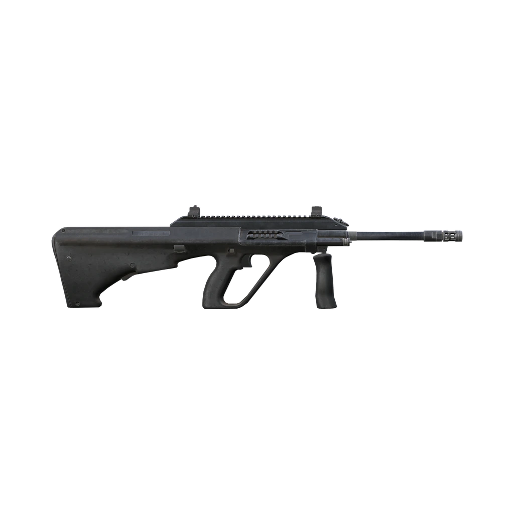 AUR AX (Aug), DayZ