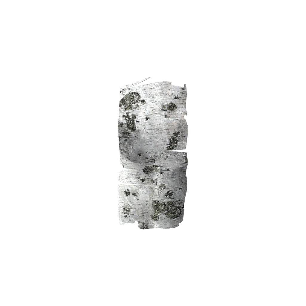Светлая кора (Bark_Birch), DayZ